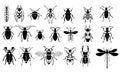 Insects vector set Royalty Free Stock Photo