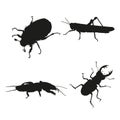 Insects on a white background. Silhouette of a grasshopper, mole