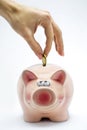 Inserting a coin into pink piggy bank