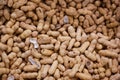 Inshell peanuts on the counter of the store