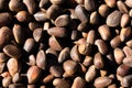 Inshell pine nuts. Cedar nuts. Background Texture. Macro.