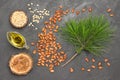 Inshell pine nuts and pine nut kernels. Cedar branch and cedar oil