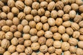 Inshell walnuts background. View from above. Royalty Free Stock Photo