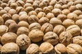 Inshell walnuts background. View from above. Royalty Free Stock Photo