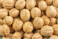 Inshell walnuts close-up. Light texture walnut shell surface. Vegetarian Vegan Vegetable Protein Royalty Free Stock Photo