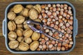 Inshell walnuts and hazelnut, view from the top, on wooden background Royalty Free Stock Photo