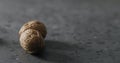 Inshell walnuts on terrazzo countertop Royalty Free Stock Photo