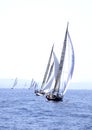 Inshore race Royalty Free Stock Photo