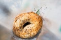 Inside all everything multigrain delicious bagel in bag poppy seeds soft and ready to eat