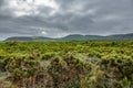 Inside antique vulcano crater