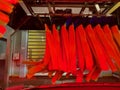 Inside automatic conveyorized tunnel car wash. View from inside car, red rotating drying brushes. Royalty Free Stock Photo