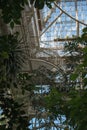 Inside Beautiful Old Greenhouse Royalty Free Stock Photo
