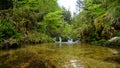 Inside black forest river little waterfall in background Royalty Free Stock Photo