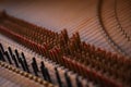 Inside Body of Old Harpsichord Royalty Free Stock Photo