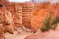 Winding serpentine course in Bryce Canyon Royalty Free Stock Photo