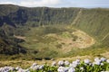 Inside of Caldeira volcano in Faial, Azores Royalty Free Stock Photo