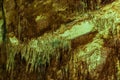 Inside of cave detail, close up stalactite. Heaven Cave in Turkey