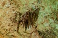 Inside of cave detail, close up stalactite. Heaven Cave in Turkey