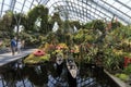 Inside the Cloud Forest Dome Gardens by the Bay in Singapore. On background some tourists walking by