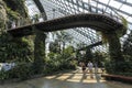 Inside the Cloud Forest Dome Gardens by the Bay in Singapore. On background some tourists walking by