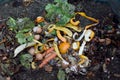 Inside of a composting container Royalty Free Stock Photo