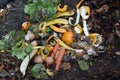 Inside of a composting container Royalty Free Stock Photo