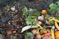 Inside of a composting container Royalty Free Stock Photo