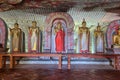 Inside of Dambulla cave temple. Standing Buddha statue