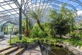 Inside of David Welch winter gardens near the main entrance in Duthie Park, Aberdeen