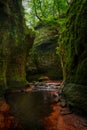 Inside of the DevilÃ¢â¬â¢s Pulpit gorge, with running water Royalty Free Stock Photo