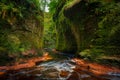 Inside of the DevilÃ¢â¬â¢s Pulpit gorge, with running water Royalty Free Stock Photo