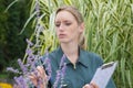 inside flower nursery worker inspecting flowers Royalty Free Stock Photo