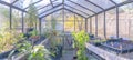 Inside a glass greenhouse with potted plants and nurseries in California