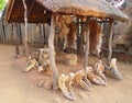 Inside of the Great Kraal in Shakaland Zulu Village, South Africa