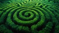 Inside green maze, mysterious labyrinth of plants, AI generated