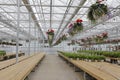 Inside a Greenhouse