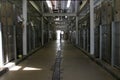 Inside the hallway of an animal shelter showing cages