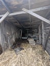 Inside of a Lean-To Shed on a Farm with Concrete Blocks and Tall Brown Grass