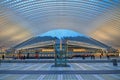 Inside Liege Guillemins