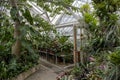 Inside of a lush diverse greenhouse