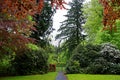 Inside a lush park landscape at rainy day spring season nature Royalty Free Stock Photo