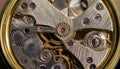 Inside mechanism, clockwork with working gears. Close-up, detailed.