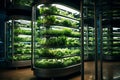 Inside a modern vertical farm. Greenhouse with hydroponics. generative AI