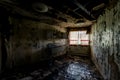 Mold Covered Kitchen - Abandoned Resort Royalty Free Stock Photo
