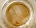 Inside a mug of beer