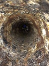 Inside the old pipe