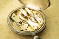 Inside of old pocket watch Royalty Free Stock Photo