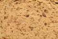 Inside part of slice rye bread background or texture Royalty Free Stock Photo