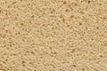 Inside part of sliced rye bread background or texture Royalty Free Stock Photo