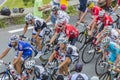 Inside the Peloton Gruppetto - Tour de France 2014 Royalty Free Stock Photo